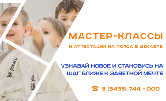 Мастер-классы и аттестации на пояса в декабре